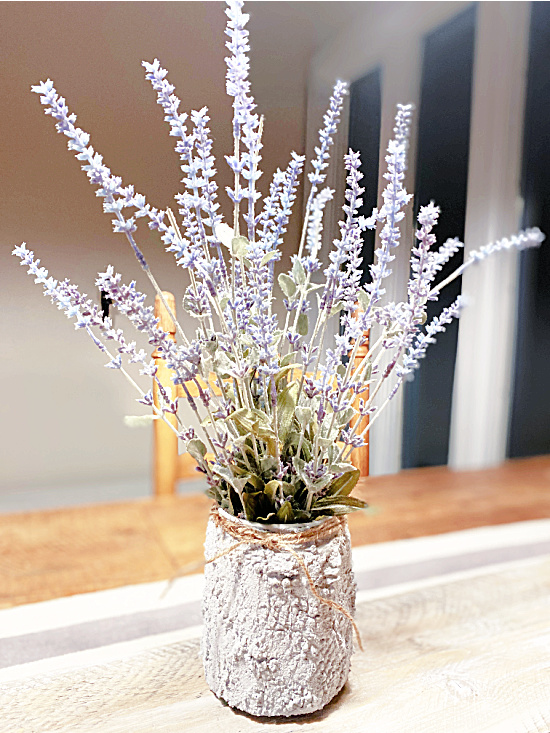 cement planter with lavender