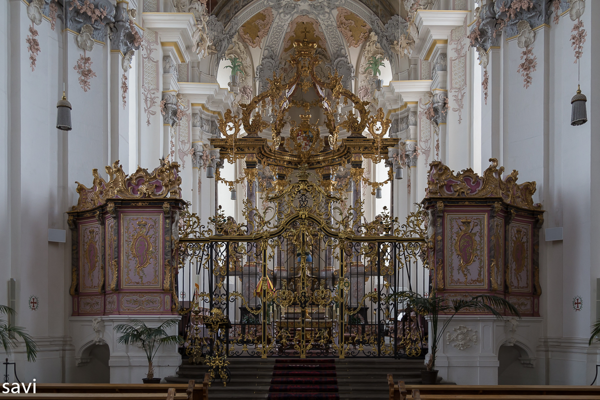 sacerdos viennensis Paulinus von Trier für die Wahrheit leiden