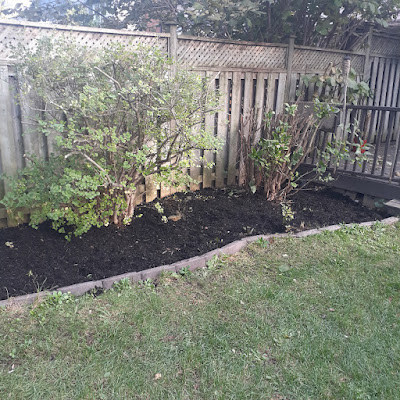 Toronto Backyard Garden Cleanup in Sherwood Park After by Paul Jung Gardening Services--a Toronto Organic Gardening Company