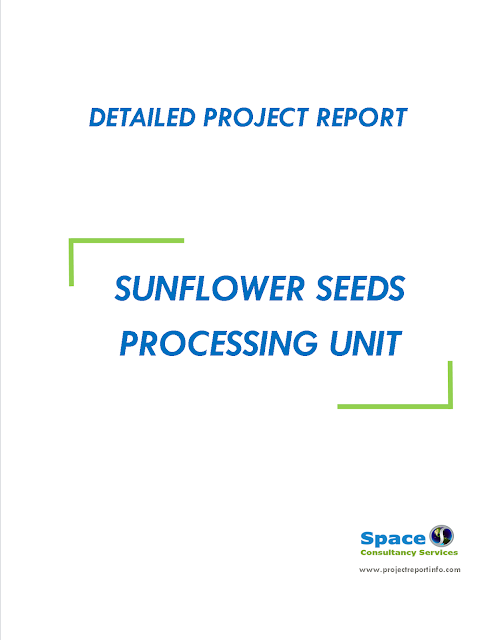 Project Report on Sunflower Seeds Processing Unit