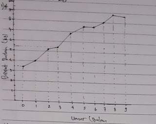 Kunci Jawaban Senang Belajar Matematika Kelas 5 Kurikulum 2013 Revisi 2018 Halaman 242 243 244 245 Kunci Soal Matematika