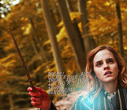 books cleverness hermione granger important bravery friendship things quotes harry potter watson emma jean