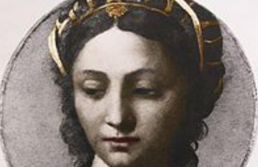 Бона сфорца первомайская ул 8 фото