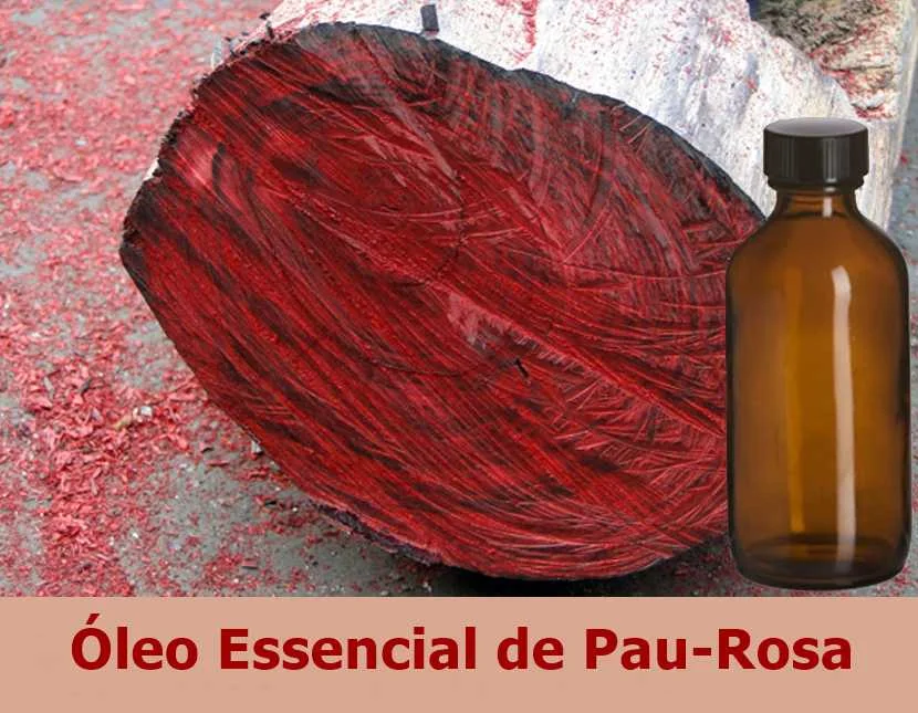 11 Benefícios do Óleo Essencial de Pau-Rosa
