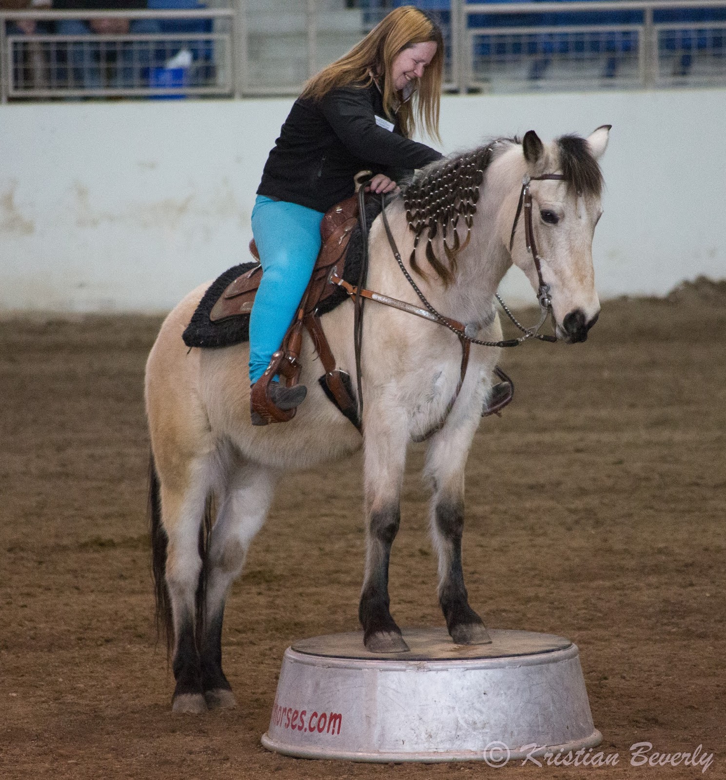 Five Paws Studio PA Horse Expo