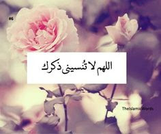 9594f5b4730de825959dd30bd6c15194--arabic-quotes-islamic.jpg