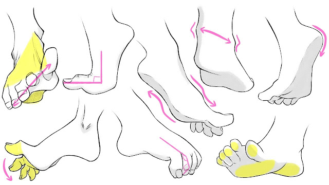 Feet of various angles