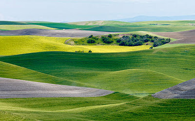 Ide 34+ Padang Rumput Terindah Di Dunia