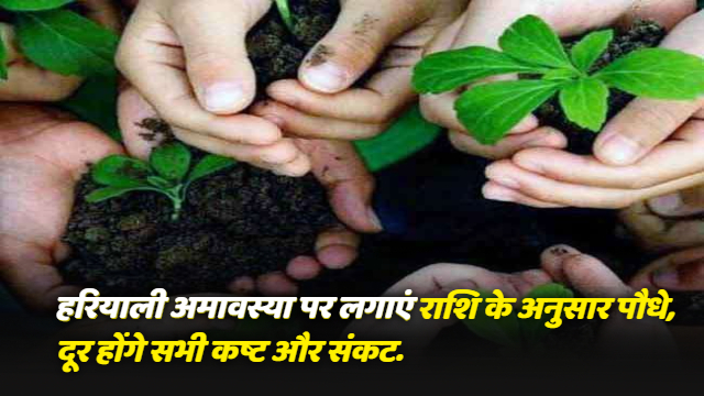 Hariyali Amavasya 2021: हरियाली अमावस्या पर लगाएं राशि के अनुसार पौधे, दूर होंगे सभी कष्ट और संकट.