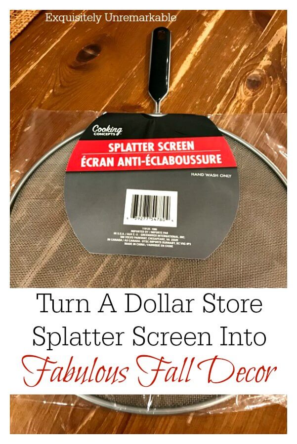 Dollar Store Splatter Screen