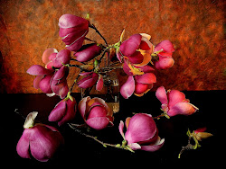 naturales flores imagenes bonitas arreglos florales ver paisajes fondos rosas photomonstr hermosas still flowers rivas mas