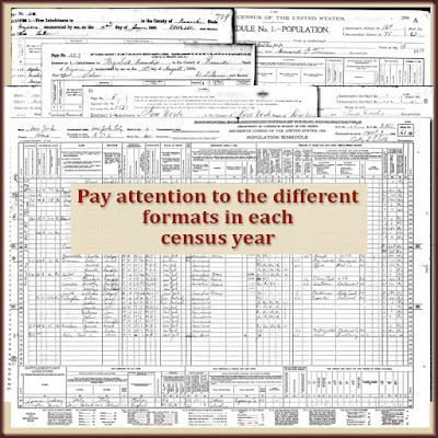 The census format changes every time. Don't miss any important facts.