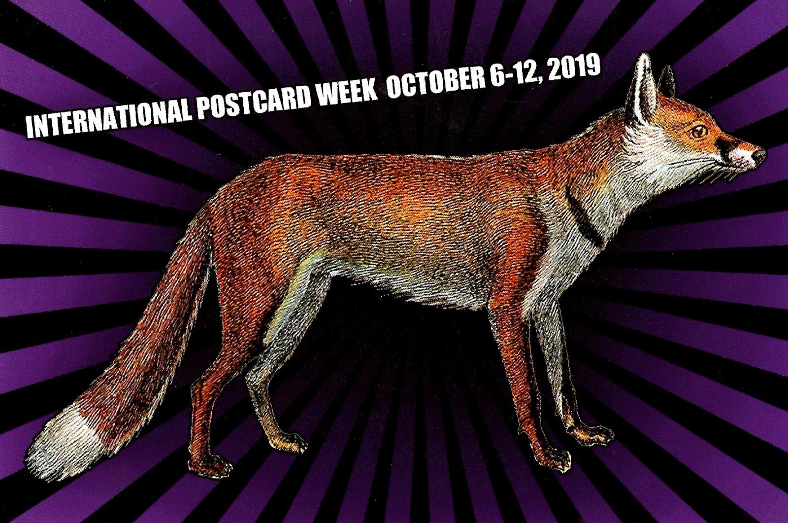 International Postcard Week 2019