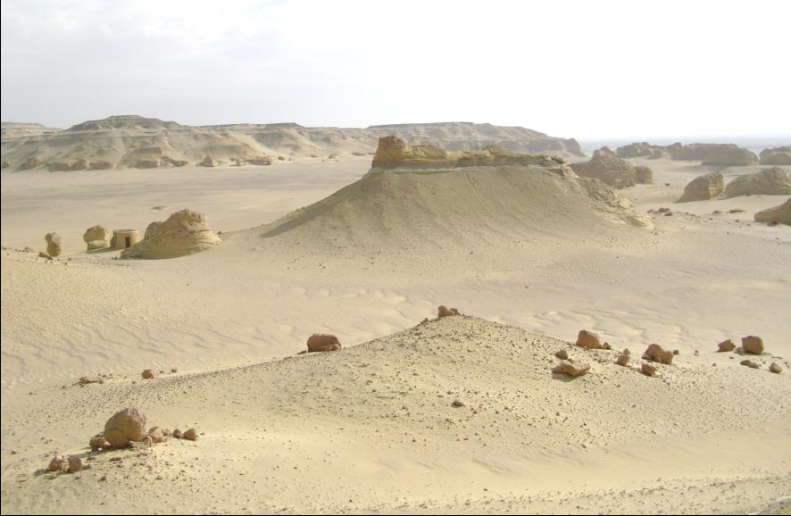 وادي الحيتان - حياة بحرية في قلب الصحراء