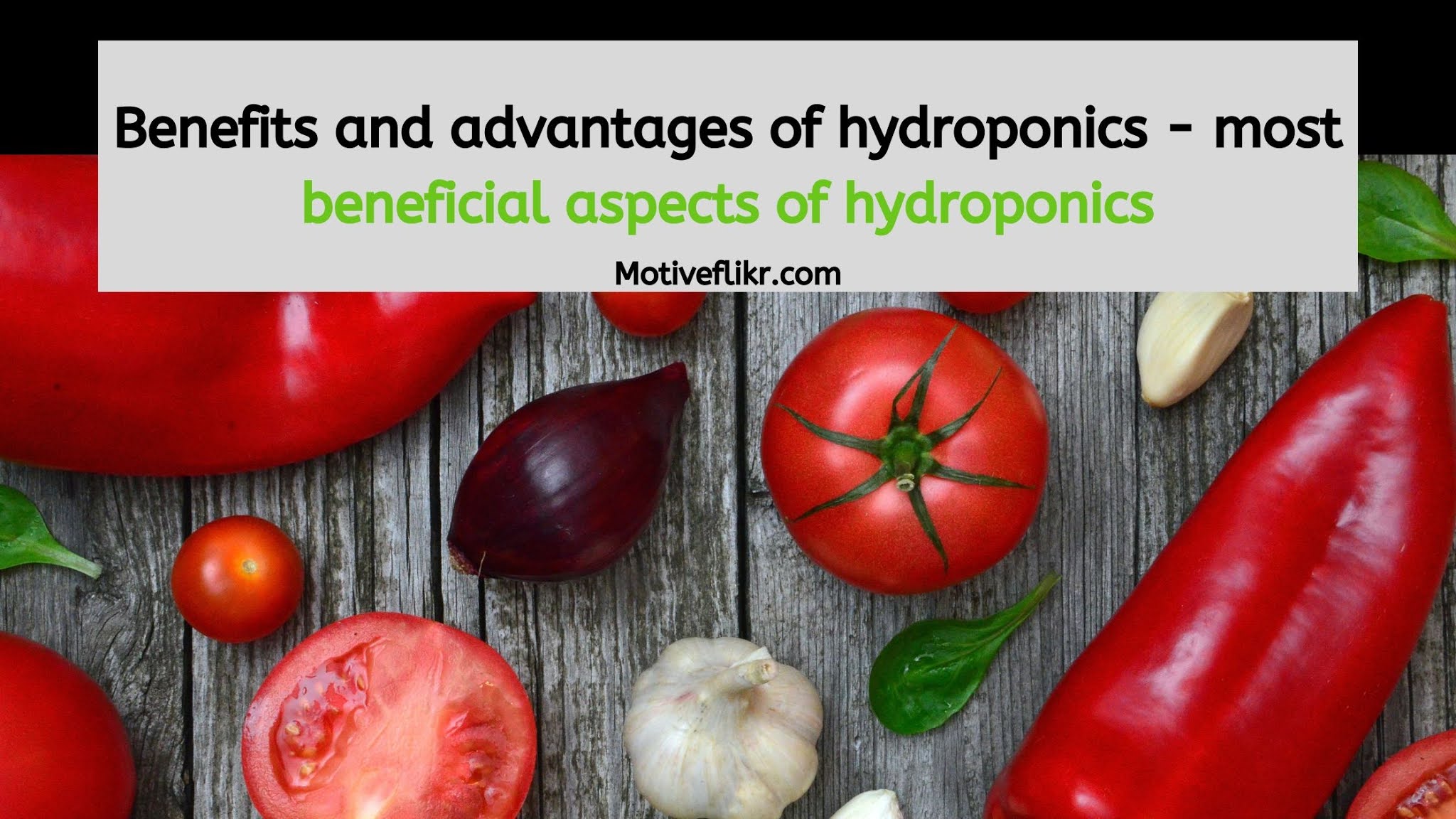 Online Agriculture Degrees with Highest capability in the world of Agritech