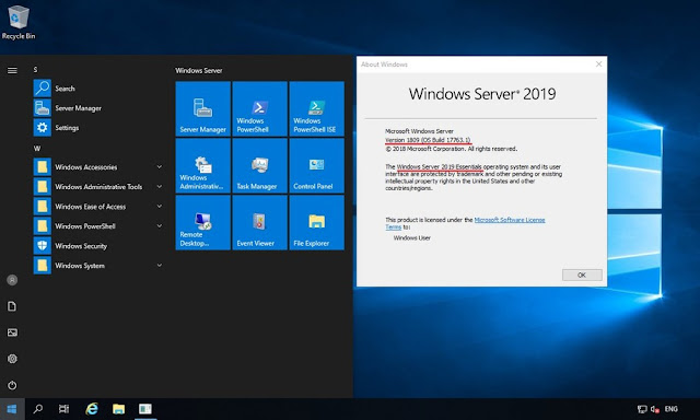 .net 4.8 download windows server 2019