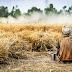 Si Petani Khayalan