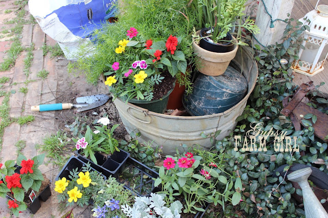 tips for planting flowers in upcyled containers