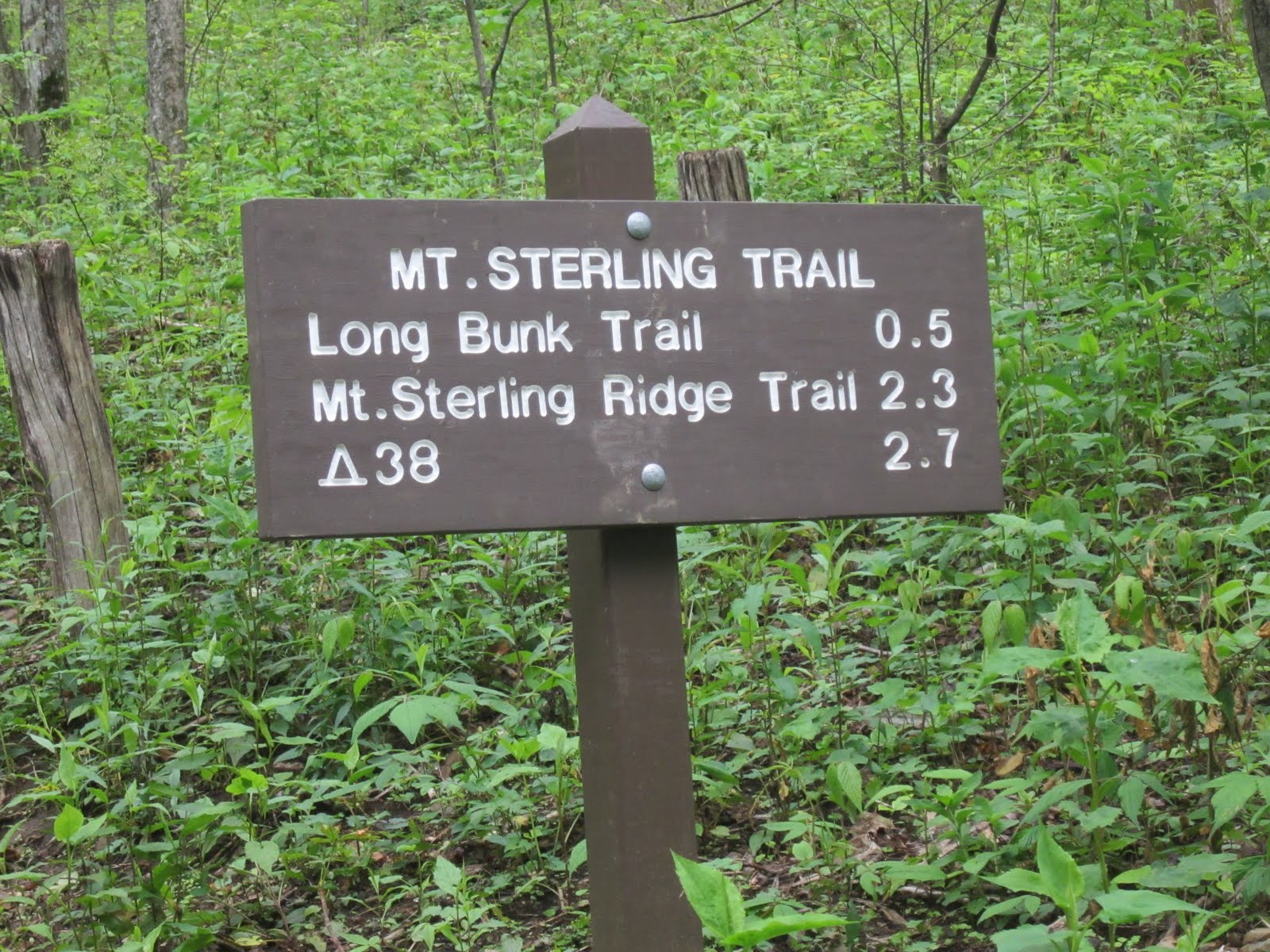 HikingCanoeingBackpackingCampingLiving Great Smoky Mountains National ParkMount