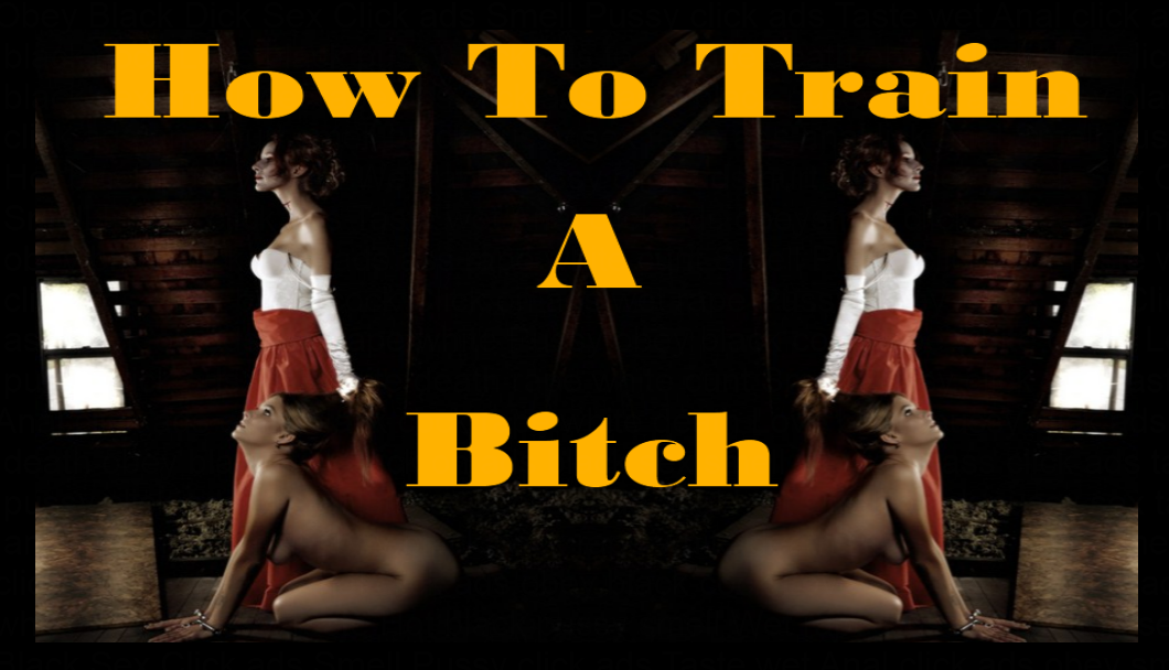 How To Train a Bitch