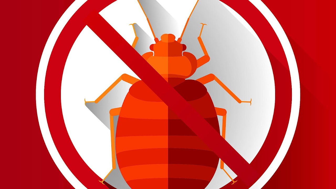 Brandon Pest Control Jacksonville Fl Brand Choices