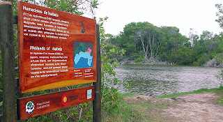 The Wetlands, Isabela Island, Galapagos