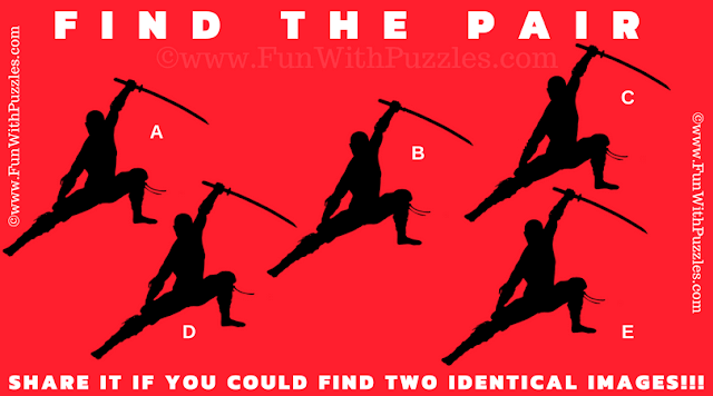 Engaging Find the Pair Visual Puzzle for High School Teens