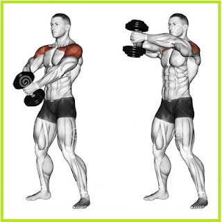 Shoulder Exercises For Men | Basic Exercises For Broader Shoulder Exercises For Men | Basic Exercises For Broader