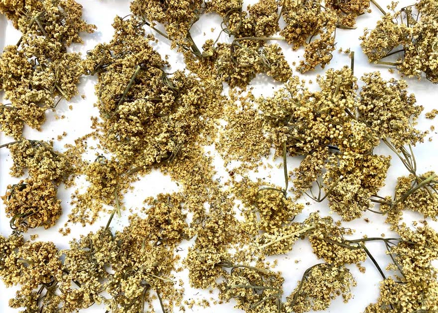 LisaLise Dried Elderflowers