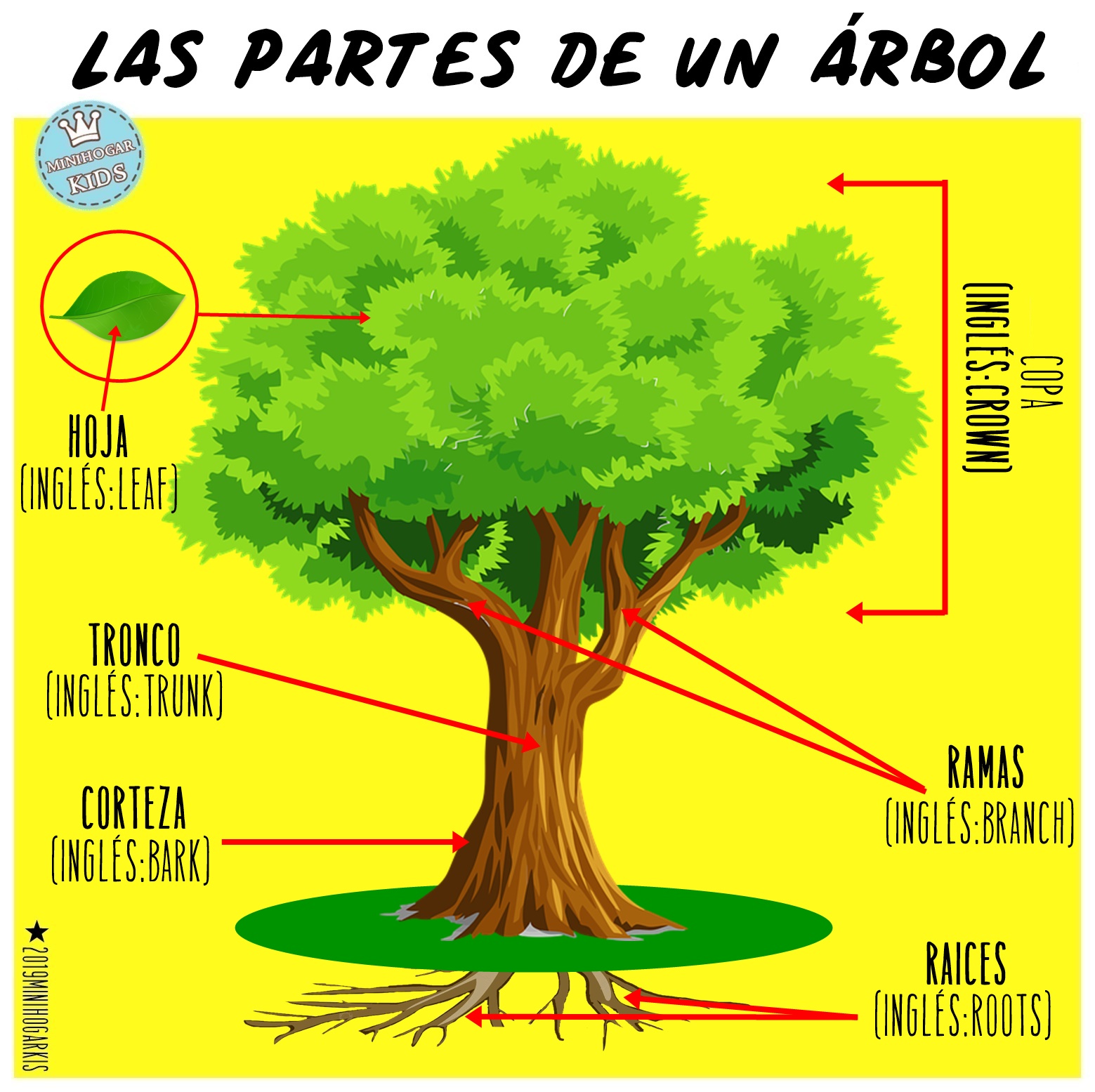 MinihogarKids: LAS PARTES DE UN ÁRBOL (ESPAÑOL - INGLÉS)