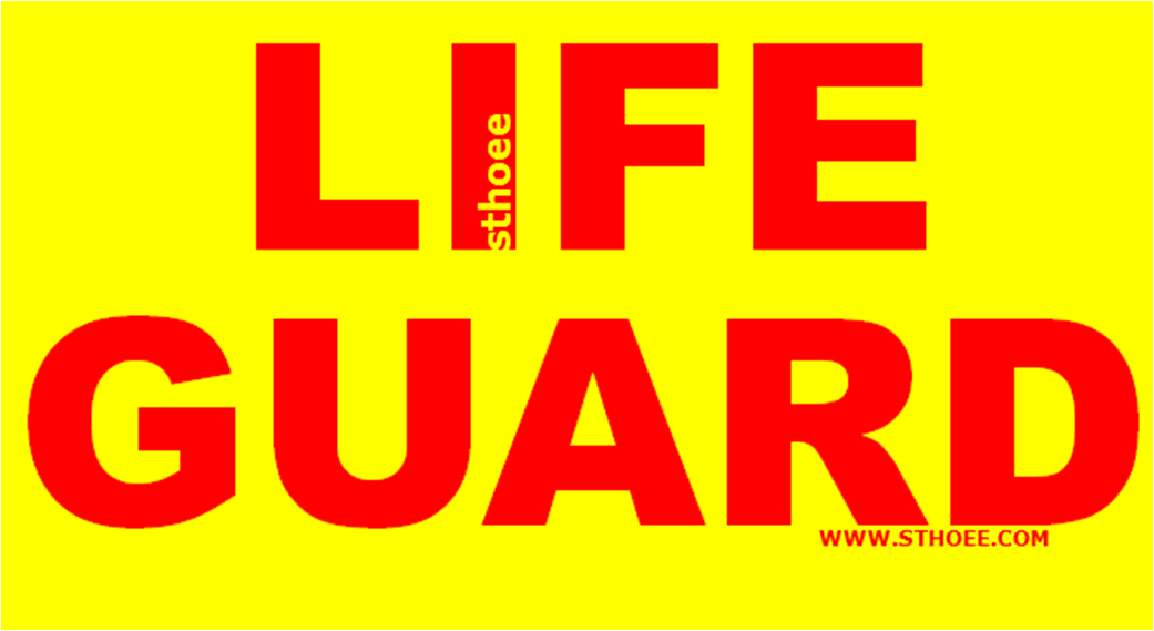 Sthoee Lifeguards Dublin, Ireland February 2013