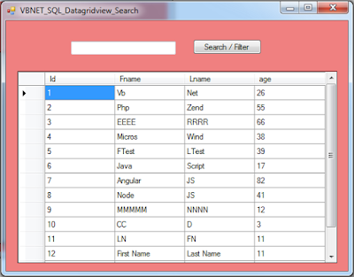 vb.net datagridview search