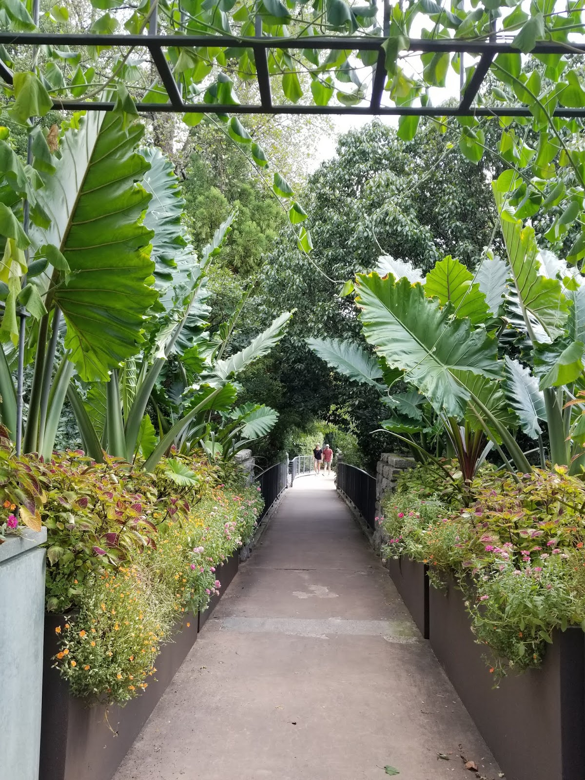 Atlanta botanical garden VISIT AND REVISIT A traveller's tale