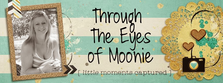 Through the Eyes of Moonie