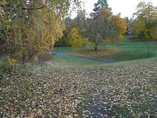 CIMG2687 - Vackra höstfärger