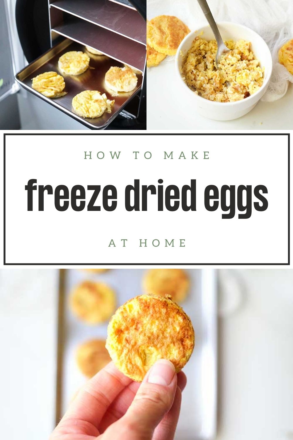 How To Make Freeze Dried Eggs At Home Homesteading in Ohio