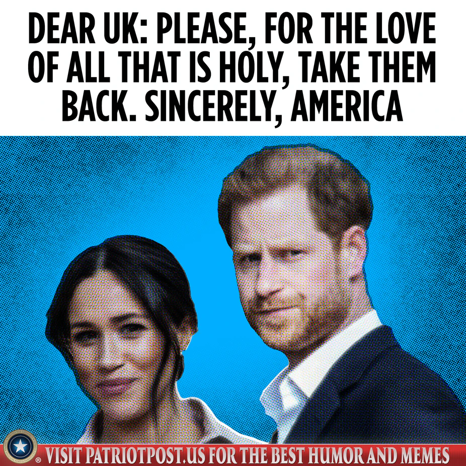 Dear reader. Dear uk. Dear uk. Lia blue. Queen elizabeth grammar school.