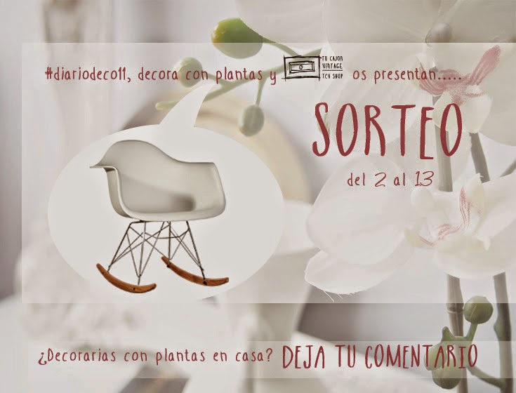 Imagen 0