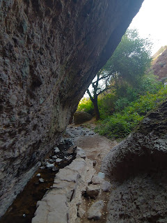 Path and creek beside large slanted stone wall with tree in the background