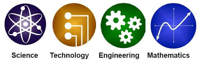 STEM Nedir