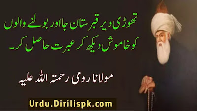 Rumi Quotes in Urdu