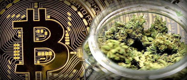 Crypto Cannabis Coins