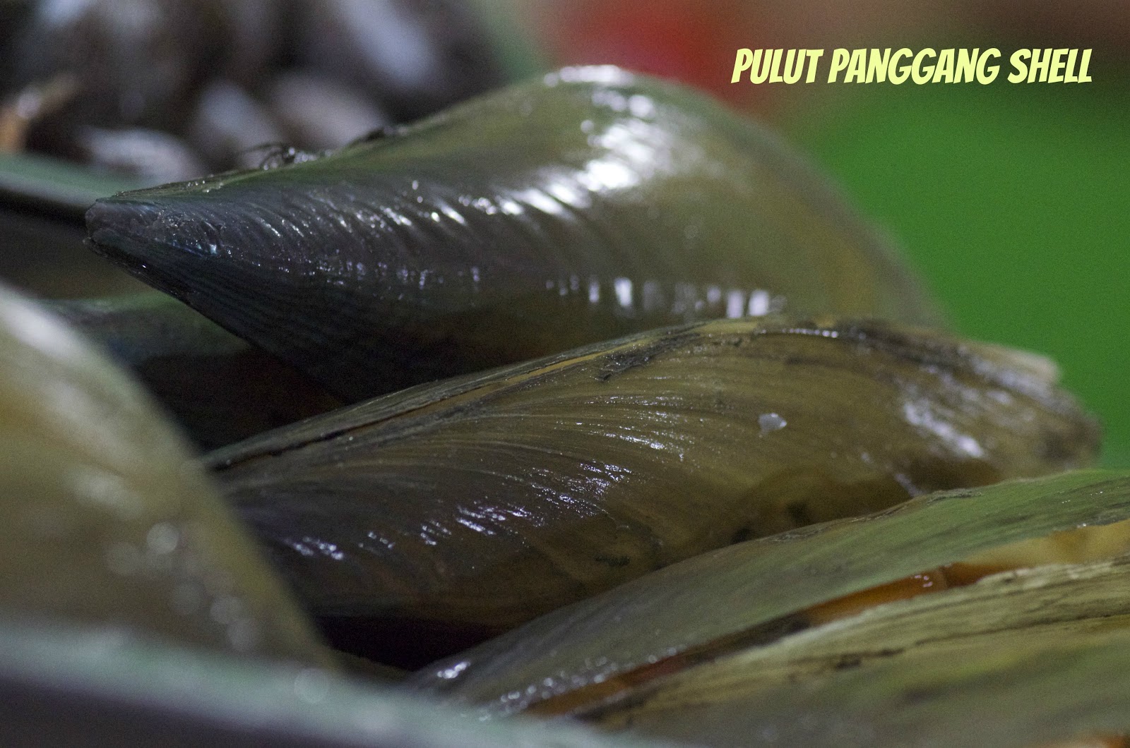 Indonesian Medan Food: Kuliner Medan : Aneka kerang dan Siput ( Medan ...