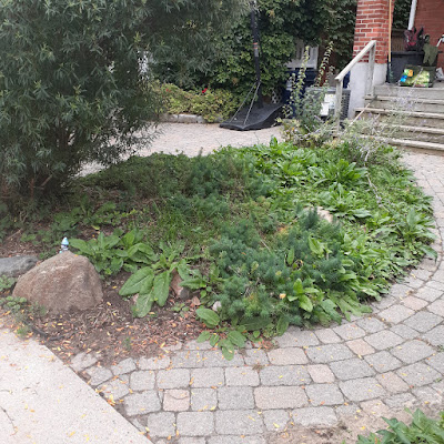 Toronto Front Garden Renovation East York Before by Paul Jung Gardening Services--a Toronto Organic Gardening Company