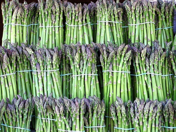 Asparagus (Shatavari) Cultivation in India ; A complete information Guide Asparagus (Shatavari) Cultivation in India ; A complete information Guide