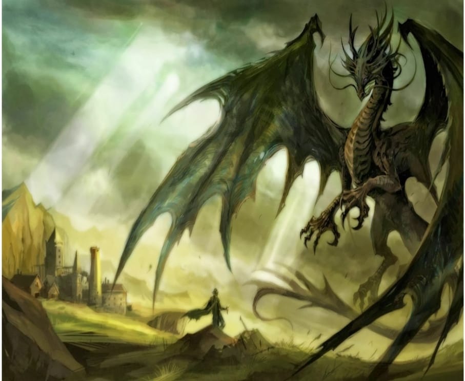 Gambar Naga Dan Harimau Hitam Putih