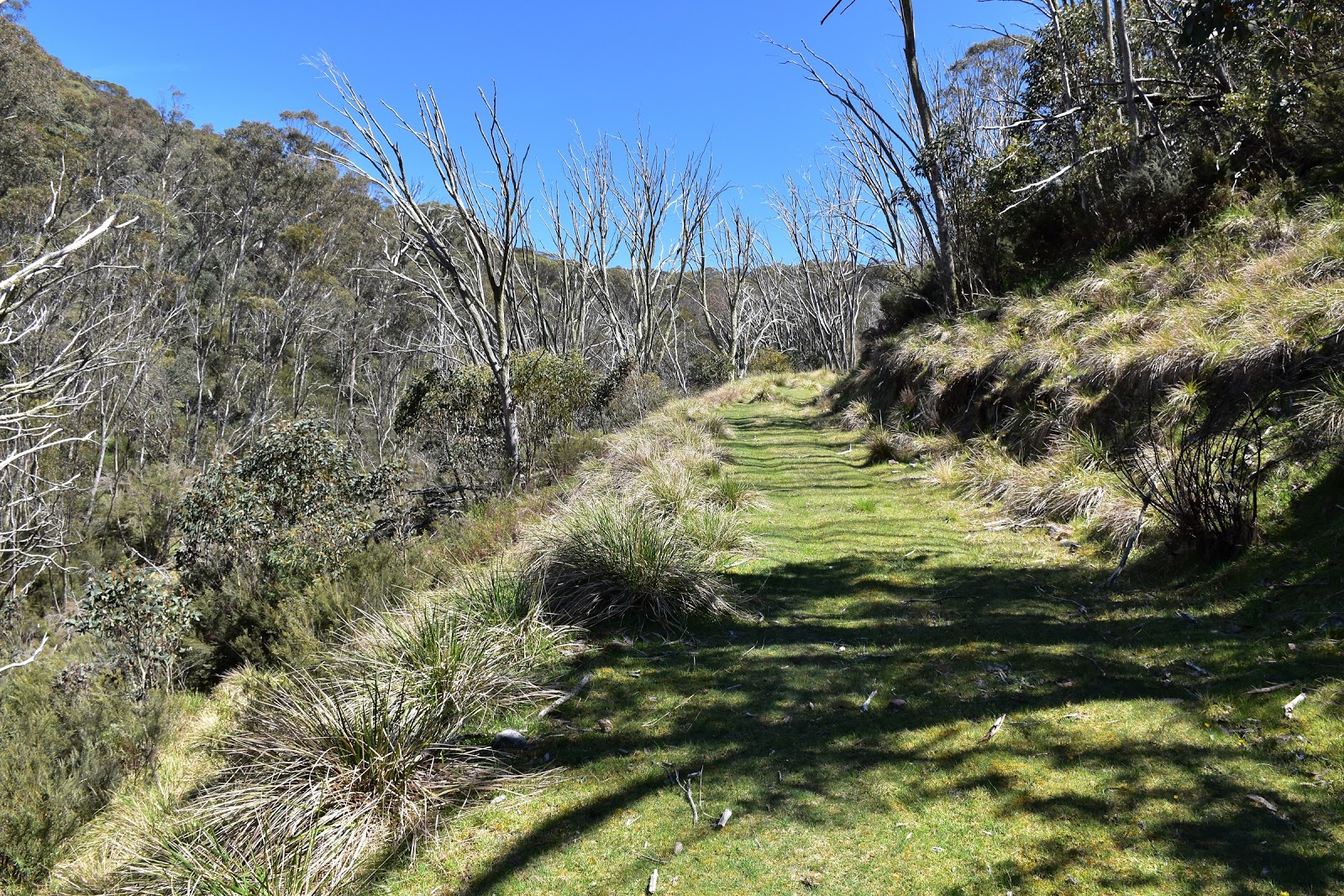 Goin' Feral One Day At A Time Big River to Cleve Cole Hut, AAWT