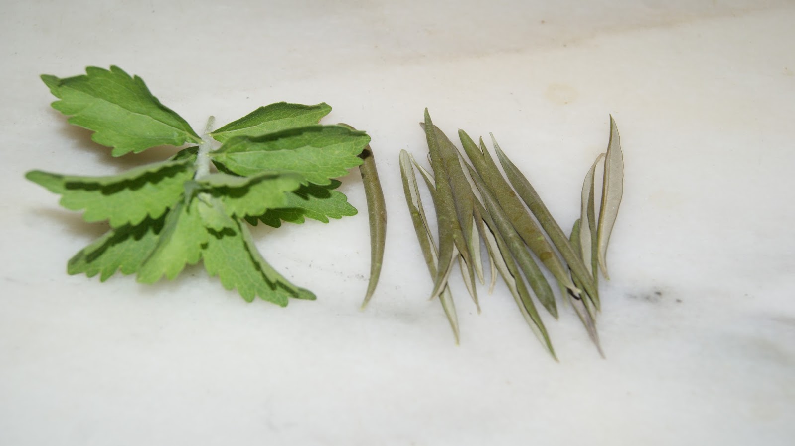 Todo a tan solo un clic El beneficio de la infusión de hojas de olivo