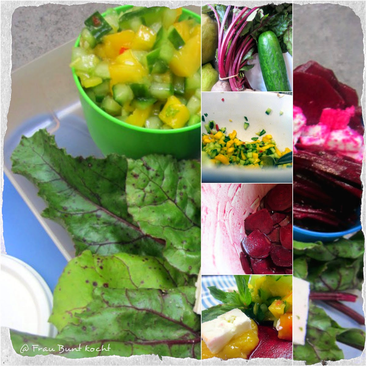 Frau Bunt kocht: Roher Rote - Beete Salat an Mango - Gurken Salsa...