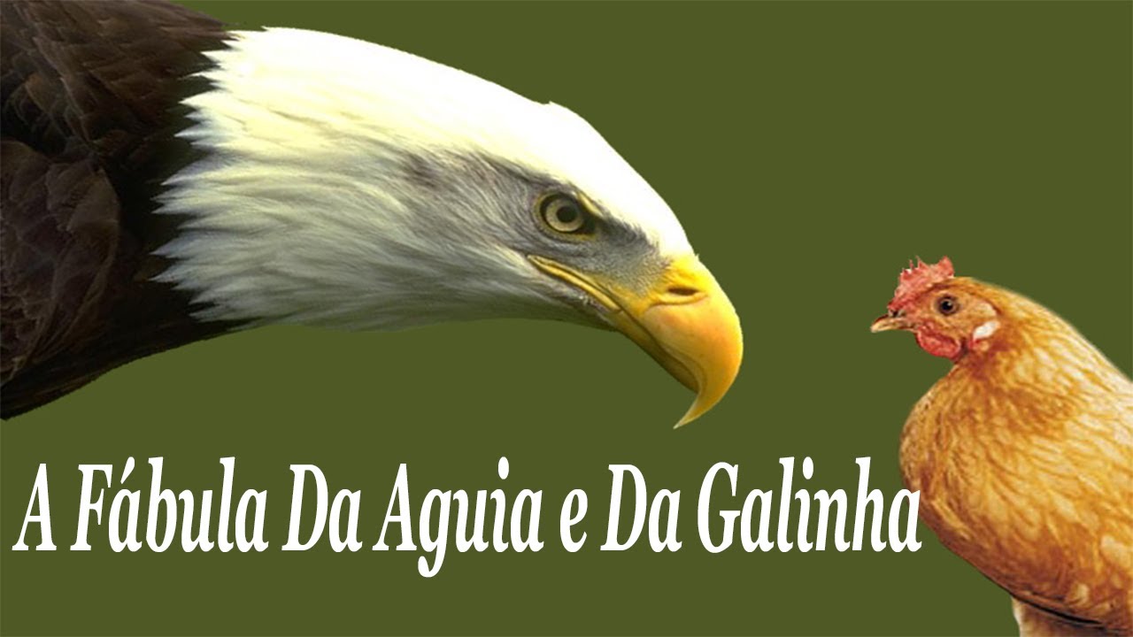GALINHA.jpg
